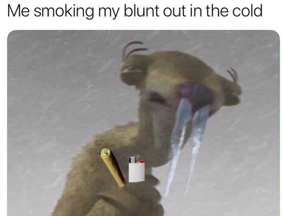 ice age